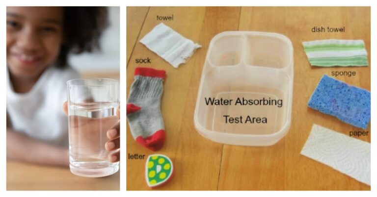 Water Absorption Experiment for Kids Kids Activities Blog FB