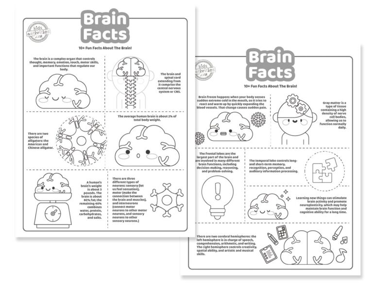 Brain Facts Coloring Pages Facebook