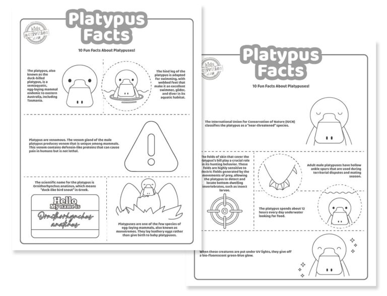 Platypus Facts Coloring Pages Facebook