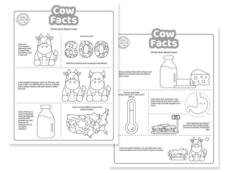 Cow Facts Coloring Pages Facebook